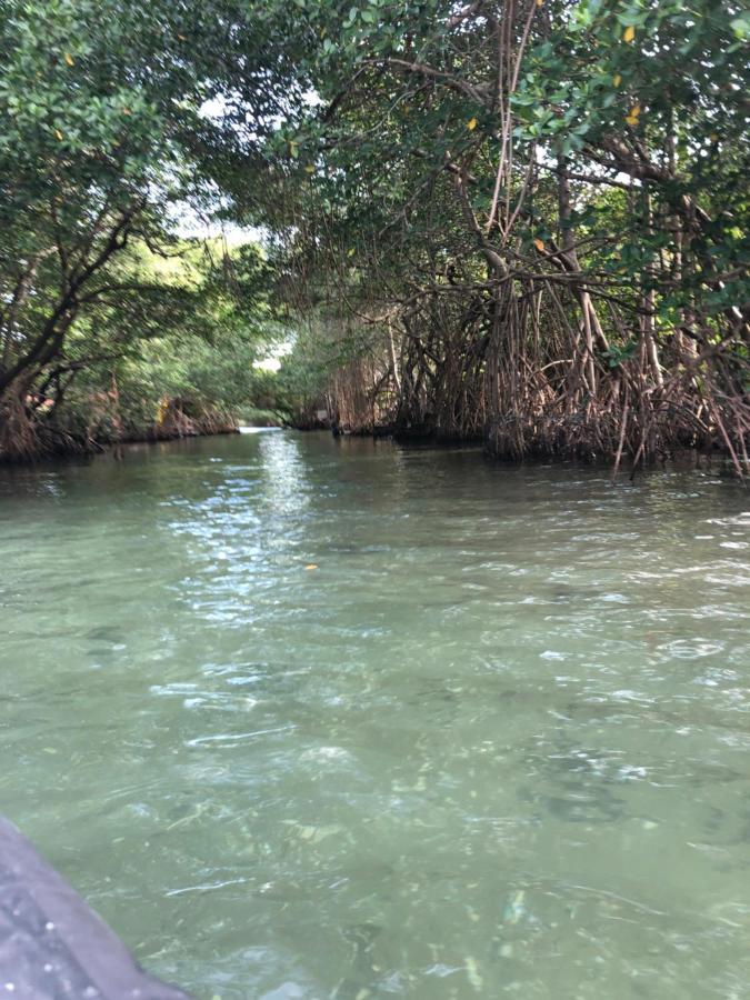 Paraiso Na Ilha Da Gigoia 里约热内卢 外观 照片