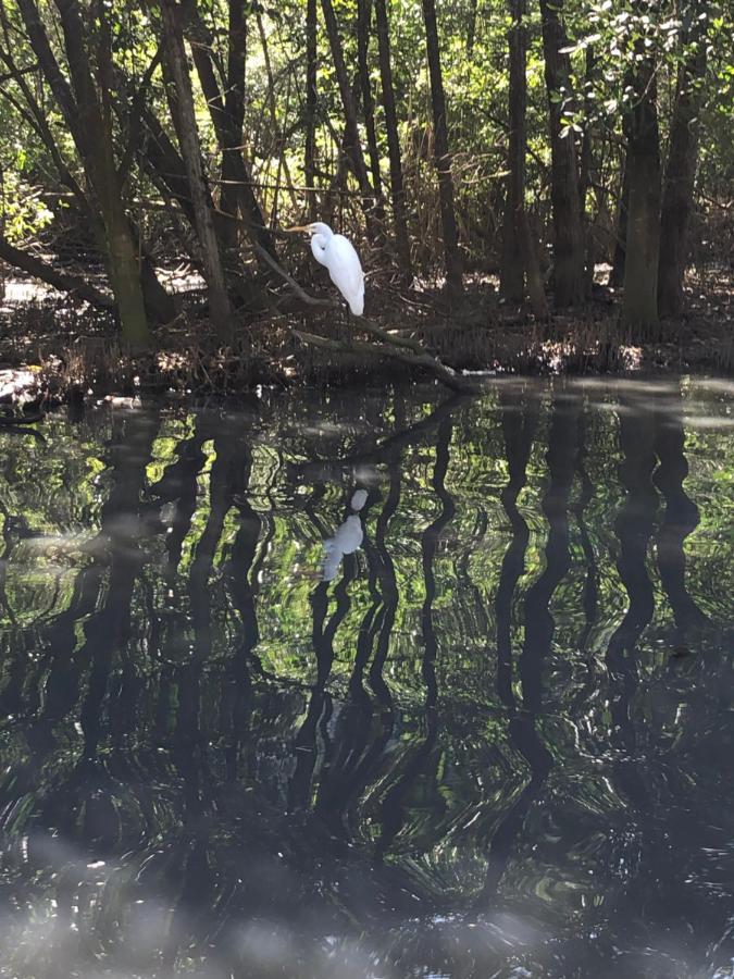 Paraiso Na Ilha Da Gigoia 里约热内卢 外观 照片